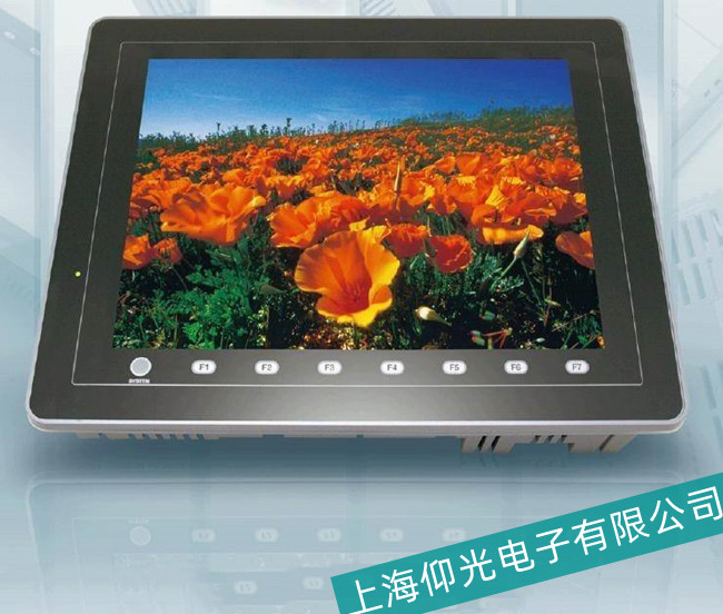 嘉定白光S806M10D触摸屏屏幕上变色和变形故障维修