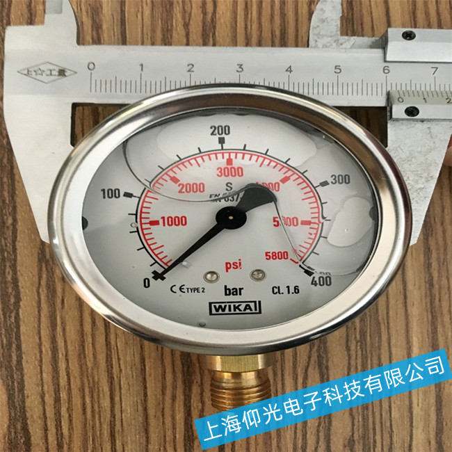 ¹WIKAѹָʾֵȹԭŲά